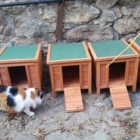 photo de livraison pour U Ghjattinu di Corti