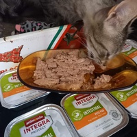 photo de livraison pour Chacun son chat