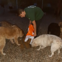 photo de livraison pour Antonia Save Animals