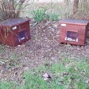 photo de livraison pour Contrôle & Protection des Chats Andréens