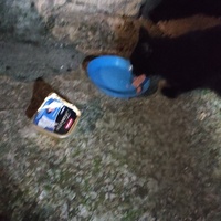 photo de livraison pour Les Mimichats