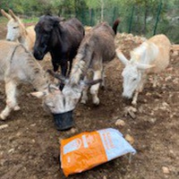 photo de livraison pour Equi-Vivre