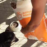 photo de livraison pour Animal Shields Oradea