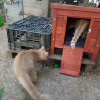 photo de livraison pour Les Fées AnimO