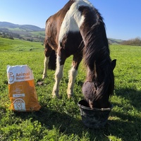 photo de livraison pour Les Crinières de Salherm