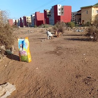 photo de livraison pour Comme Chiens et Chats Maroc