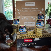 photo de livraison pour Montboud'Chat