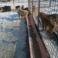 photo de livraison pour Humans foR thEM