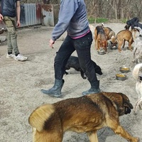 photo de livraison pour Svetlana Bjelogrlic