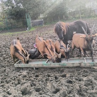 photo de livraison pour HELP