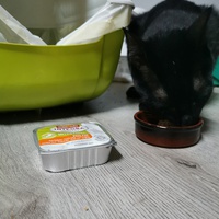 photo de livraison pour Le Resto des Zanimos