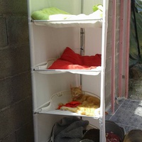 photo de livraison pour SOS Animal Tendresse