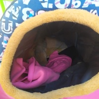 photo de livraison pour ANIMAL ATTITUDE