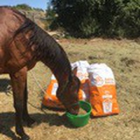 photo de livraison pour Association hippique du Caroux