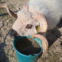 photo de livraison pour La Ferme des Zanimobiles