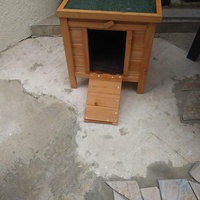 photo de livraison pour Protect Cat