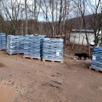 photo de livraison pour Silver Dog Srebrenica