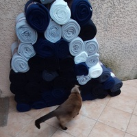 photo de livraison pour Bien vivre avec les Chats Sallélois