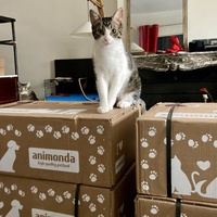 photo de livraison pour Association C.A.T.S. Chat Animal Terrien Solidarité