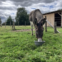 photo de livraison pour ADADA