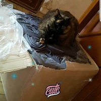 photo de livraison pour Esperanza36