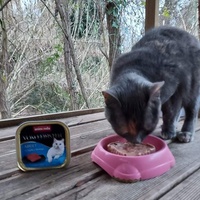 photo de livraison pour Les Chats Libres d'Estagel