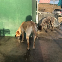photo de livraison pour Huellas del Valle con Esperanza