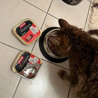 photo de livraison pour Ecole du Chat de Poitiers