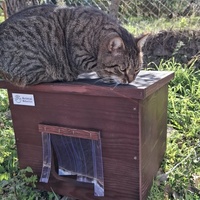 photo de livraison pour Contrôle & Protection des Chats Andréens