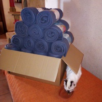 photo de livraison pour Jardin des Chats