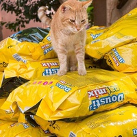 photo de livraison pour Le Coeur sur la Patte