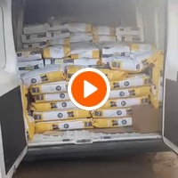 photo de livraison pour Help Adopt Moroccan Animals