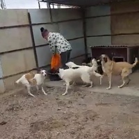 photo de livraison pour Associtia Axi Hope Romania