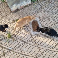 photo de livraison pour Kawthar Maree