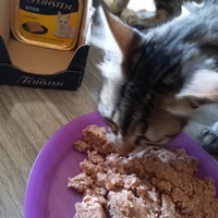 photo de livraison pour Les Pattounes de l'Espoir