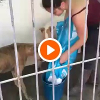 photo de livraison pour Cambiando Miradas