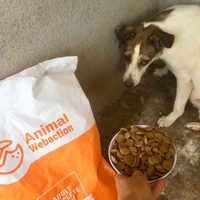 photo de livraison pour Speranta Pentru Animale