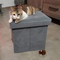 photo de livraison pour Association Des  Chats  De Hyeres