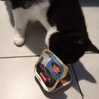 photo de livraison pour Boules d'amour