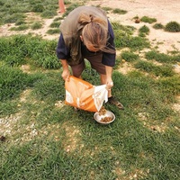 photo de livraison pour Animal Shields Oradea