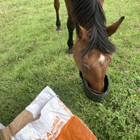 photo de livraison pour Espoir au Galop