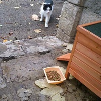 photo de livraison pour Ecole du Chat d’Arbois