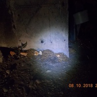 photo de livraison pour Pro Animals Finland ry