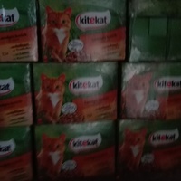 photo de livraison pour Paroles de Chats