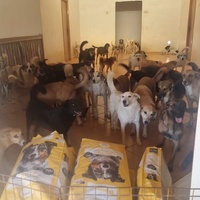 photo de livraison pour Sanctuaire de la Faune de Tanger (SFT)