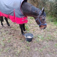 photo de livraison pour HELP