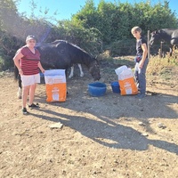 photo de livraison pour La Retraite des Chevaux des Causses