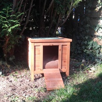 photo de livraison pour Les Chats du 65