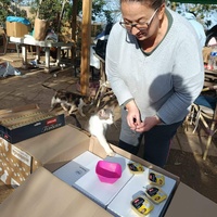 photo de livraison pour Chats Libres de Béziers