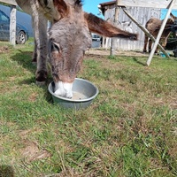 photo de livraison pour ADADA